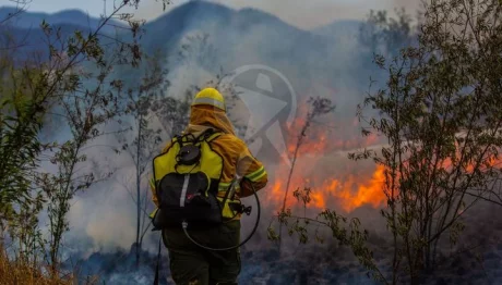 Más de 35 brigadistas de Defensa Civil forman parte de la brigada forestal encargada de sofocar estos incendios. Javier Corbalán