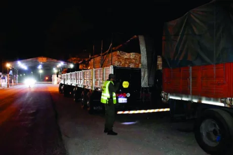 Se decomisaron 580 tablones que portaba el camión. 