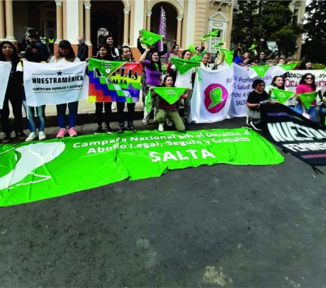 Organizaciones sociales, feministas y de la Red de Profesionales se manifestaron en la Legislatura.