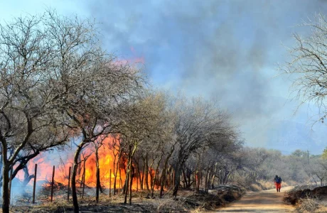 Fotos Miguel Ortiz incendios forestales. La Voz