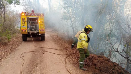 Incendios forestales en la Provincia
