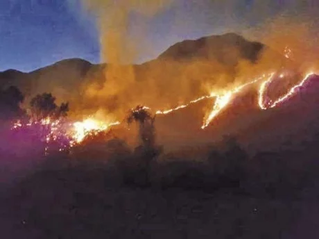 Incendios en Tarija