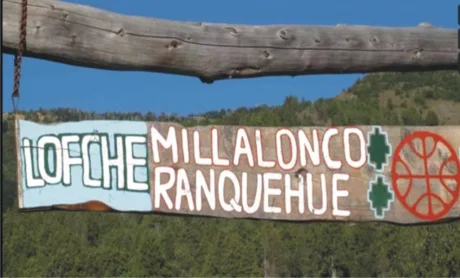 Comunidad Millalonco Ranquehue.