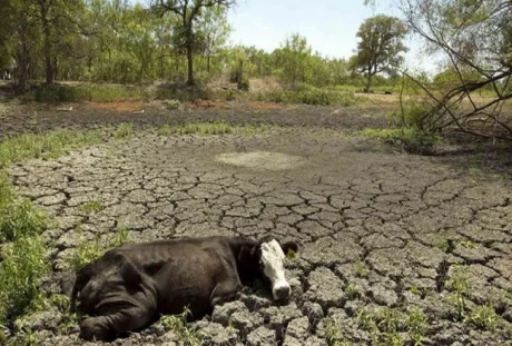 Preocupa la sequía a productores salteños