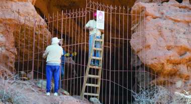 El sitio está protegido con rejas. (Foto programa Qhapaq Ñan Salta)