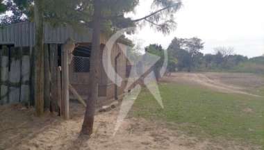 El lugar donde fue abandonada la nena en la madrugada del sábado 15 de julio.