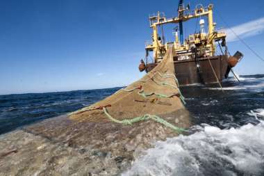 Se estima que la pesca ilegal genera pérdidas de entre USD 1.000 millones y 2.600 millones cada año.Crédito: Internet