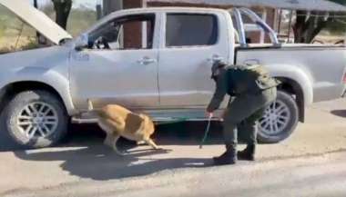 La camioneta es revisada con la ayuda de un can antinarcóticos.