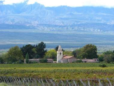 Plantación de uvas en la localidad de Tolombón en Salta. Foto: Todowebsalta.