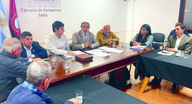 El Procurador García Castiella con los senadores. (Foto MPF)