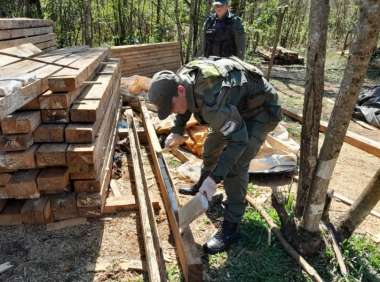 En cada viga había clavos y sospecharon que podrían estar huecos y encontraron droga (Foto Gendarmería).