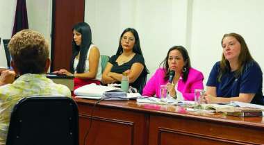 La fiscal Carreras durante la audiencia de ayer. (foto MPF)