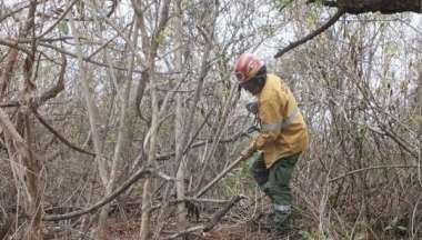 Un brigadista trabaja en un incendio en un cerro de La Caldera