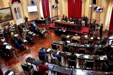 La Cámara de Diputados de Salta aprobó el proyecto de ley que busca crear las condiciones para el desarrollo del cultivo de cannabis y el cáñamo.
