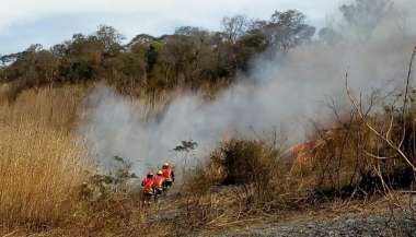 Muy ardua la tarea de los bomberos voluntarios en los últimos días.