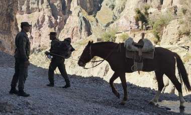Alrededor de 90 mulas (ganado mular) se utilizan para transportar efectivos y urnas a las regiones montañosas del país. (Foto Gendarmería).