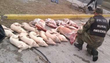 La carne secuestrada en el ingreso a Salta.