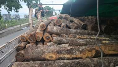 Palo santo y quebracho a granel.