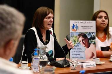 Covelli en una de sus intervenciones en el Congreso, en la larga lucha por la ley. 