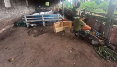 La riña de gallos en Cerrillos.