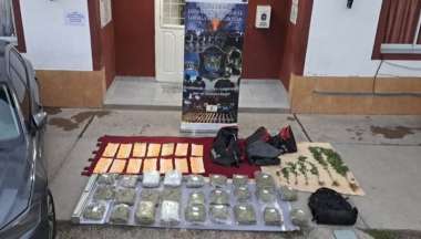 La marihuana secuestrada en el Docente.