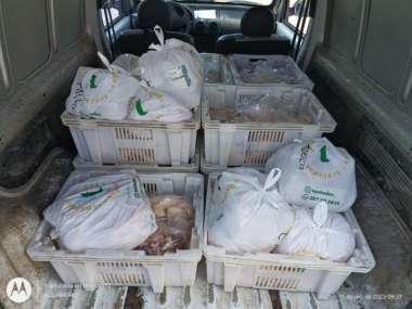 Parte de la carne transportada. Foto: Policía de Salta