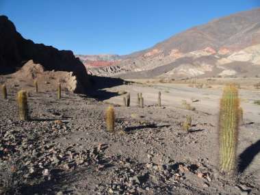 Las inspecciones que se realizan son constantes