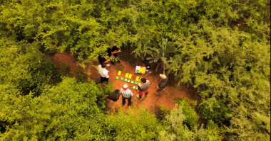 ESPESURA DEL MONTE: Las mochilas con cocaína habían sido arrojadas en Pellegrini. Ahora, la causa se debate en Salta