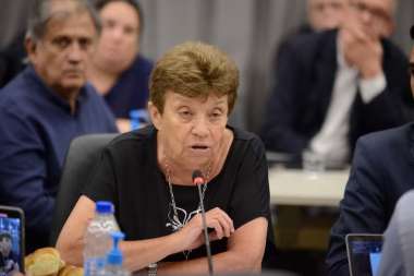Aída Kemelmajer expuso en el plenario de comisiones de la Cámara de DiputadosHCDN