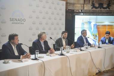 Los gobernadores patagónicos dieron su conferencia de prensa en el Senado.. Imagen: Sandra Cartasso