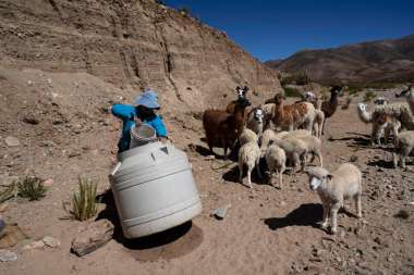 Una mujer extrae agua para sus animales, en la provincia de Jujuy (Argentina), en 2023. RODRIGO ABD (AP)
