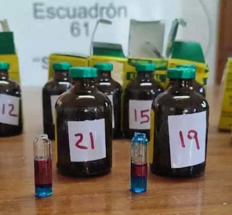Gendarmería Nacional secuestró 24 frascos de ketamina en Salta